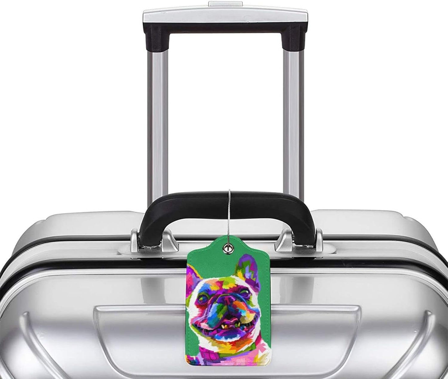 Cute French Bull Dog Luggage Tags for Boys Girls Adults, Set of 2 Stylish Art Colors Animal on Green Background Leather Stainless Steel Loop Label Tag for Travel Bag Suitcase