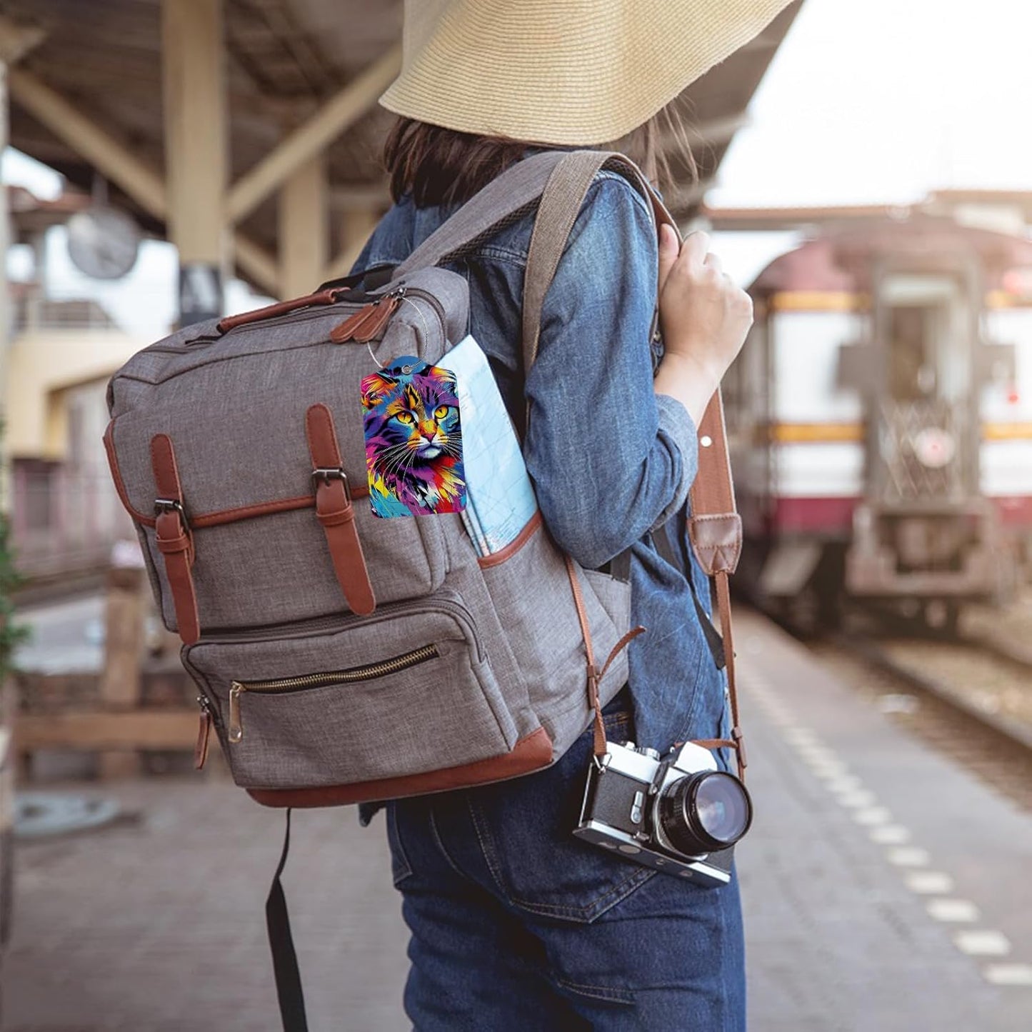 Colorful Cat 2 Pack Luggage Tag for Suitcase, Leather Bag Tags Identifiers Privacy Cover ID Label with Steel Loop for Women Men Kids Girls Travel