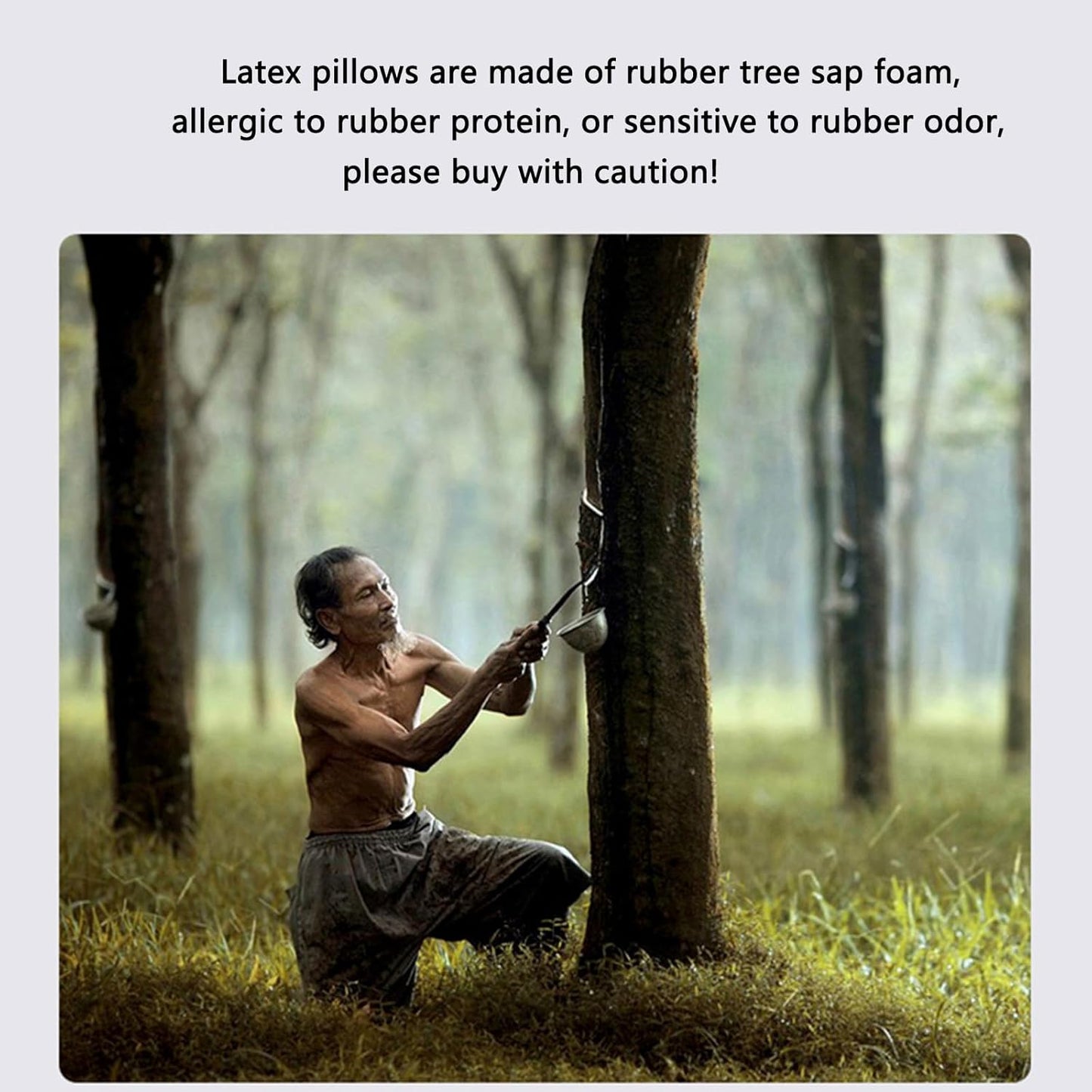 High-Profile Nature Latex Foam Pillow,Slightly Soft for Cervical Support,Thick Cervical Neck Contour Pillow for Stomach/Side/Back Sleepers,for Wide Shouldered People (23.6"×15.7"×4.5"/5.3")