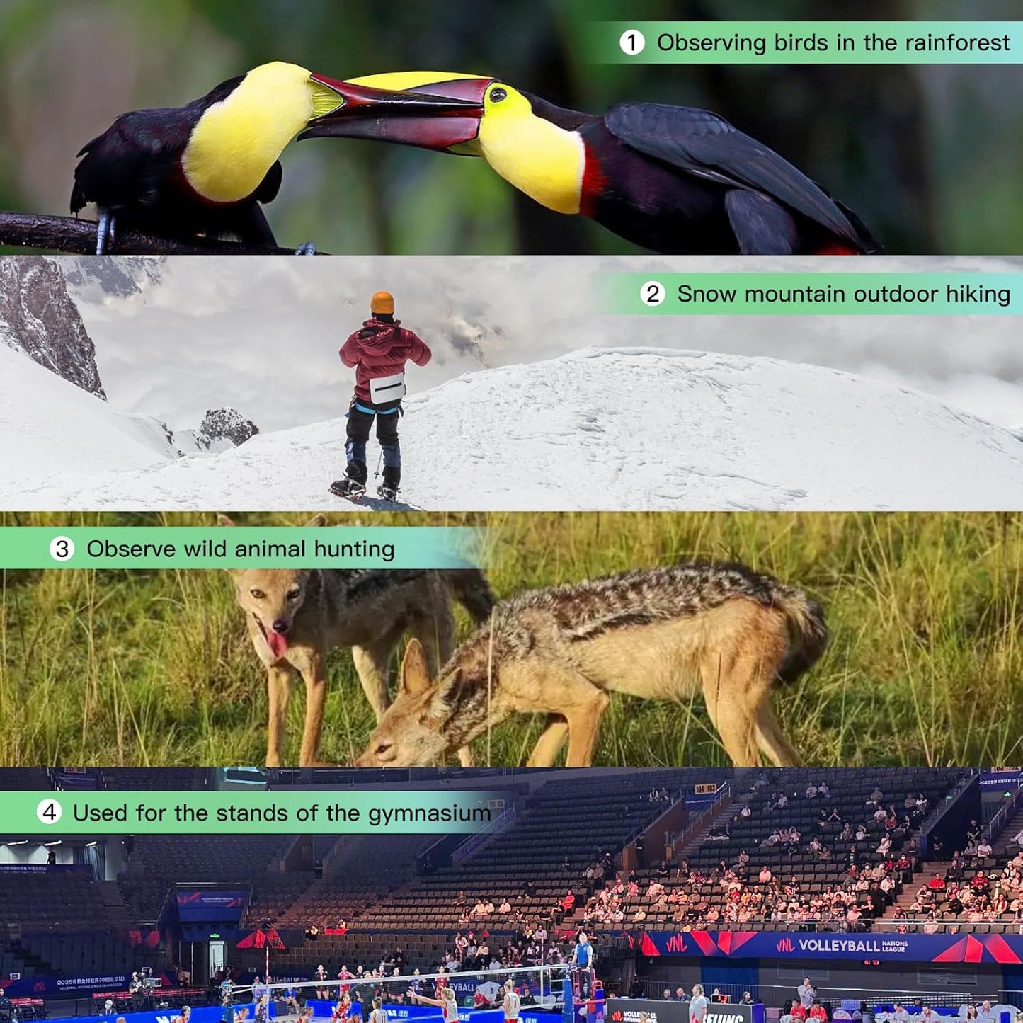 12X50ED Compact Binoculars for Adults โ High-Powered BAK4 Prisms, Diamond White Coating, Waterproof & Fogproof, Rubber Armored โ Ideal for Bird Watching, Hunting, Travel, Outdoor Sports