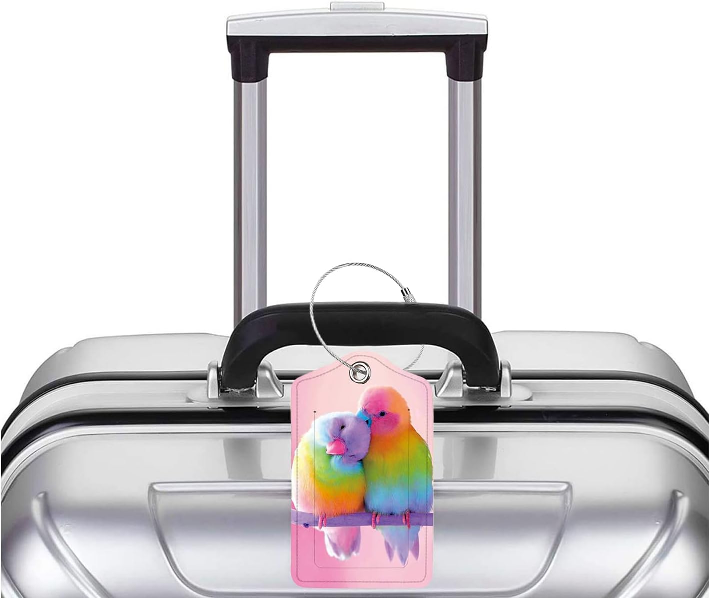 2 Pack Luggage Tag for Suitcase, Cute Unique Leather Bag Tags Identifiers Privacy Cover ID Label with Durable Steel Loop for Women Men Kids Girls Travel,Bird