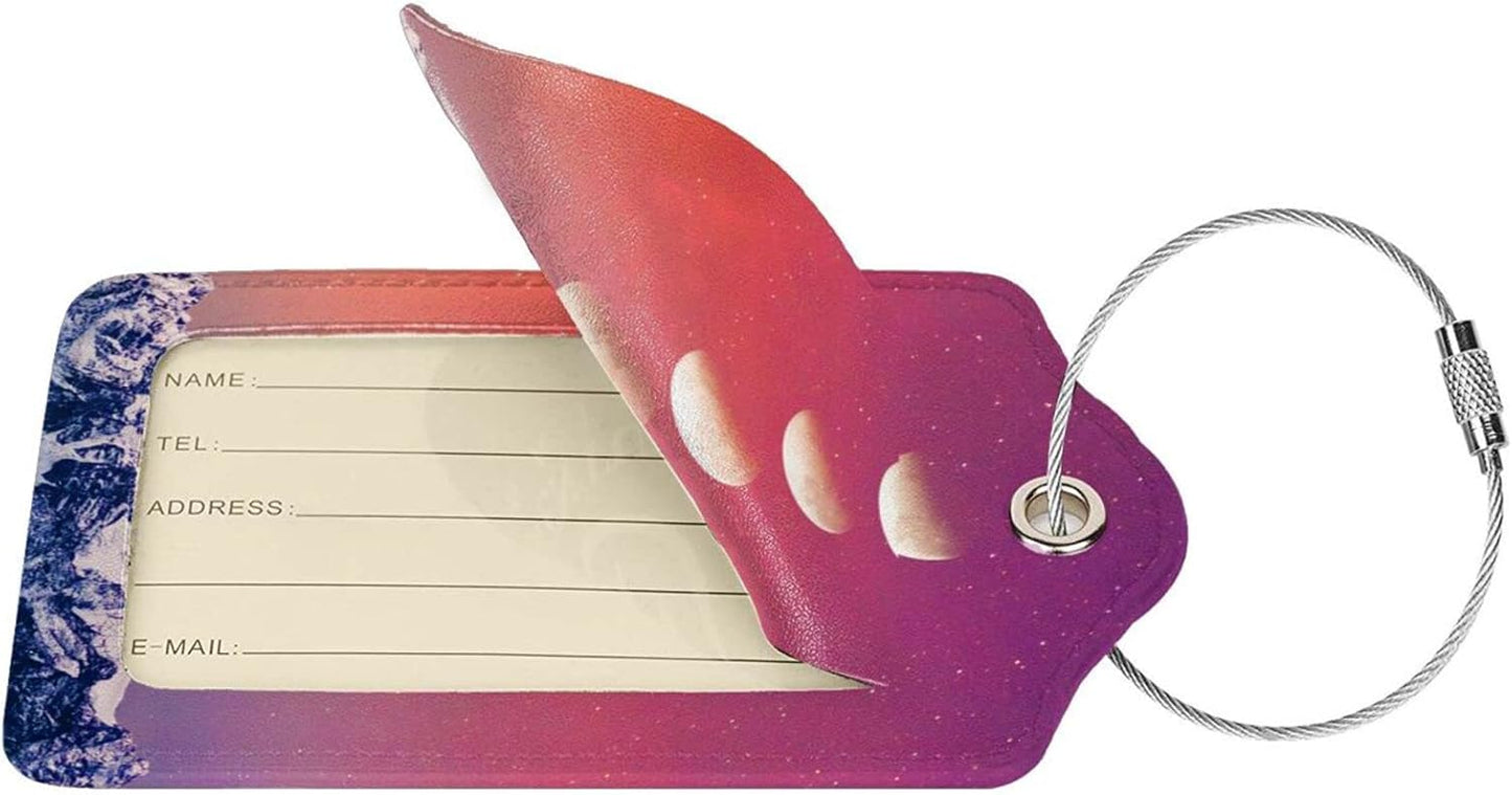 2 Pack Luggage Tag for Suitcase, Cute Unique Leather Suitcase Tags Identifiers with Privacy Name Address Labels & Durable Steel Loop for Women Men Travel