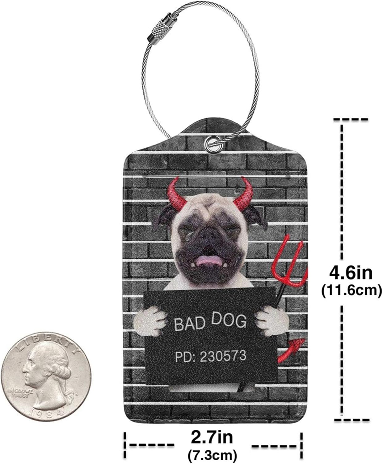 2 Pack Luggage Tags for Suitcase, Devil Pug Dog PU Leather Travel Luggage Tag with Privacy Flap, Name ID Label and Metal Loop for Women Men Suitcase Baggage Bag Backpack