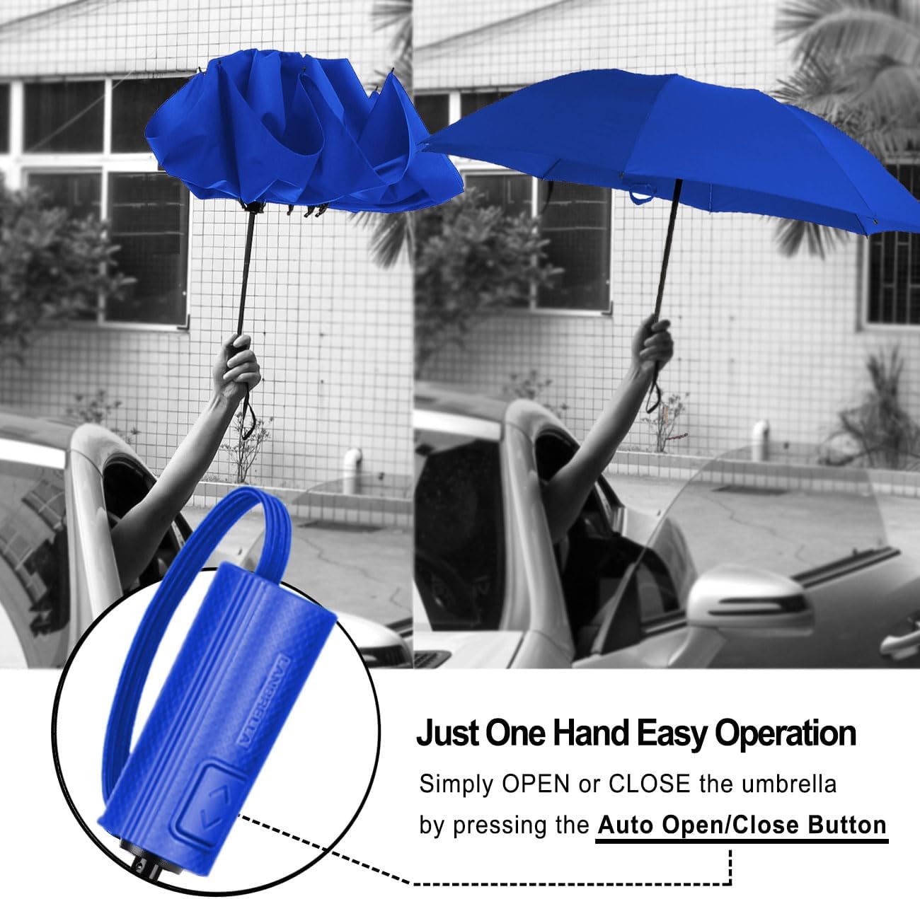 LANBRELLA Compact Reverse Folding Umbrella Auto Windproof Travel Umbrella