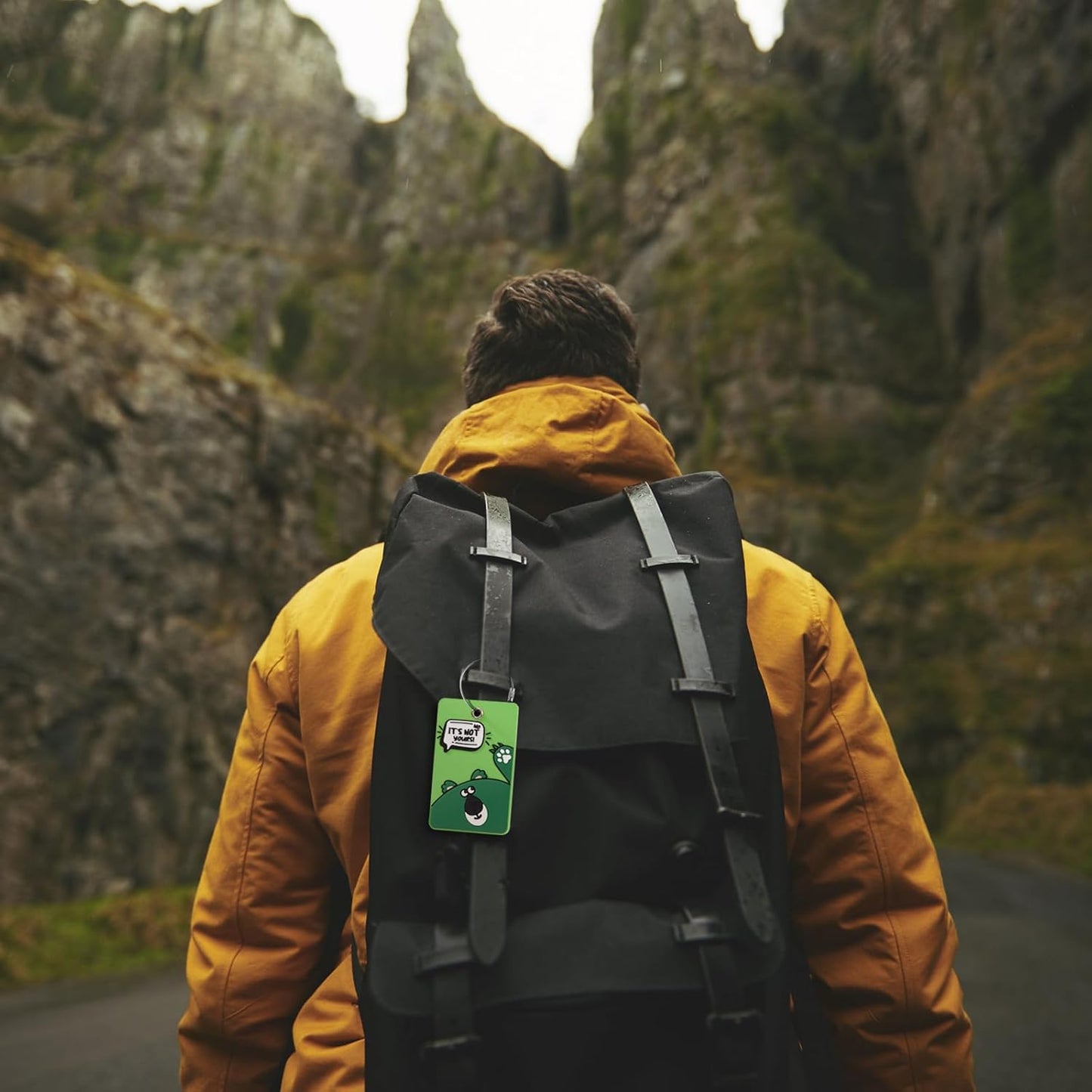 2PCS 2303 Bright Silicone Luggage tag (Green)