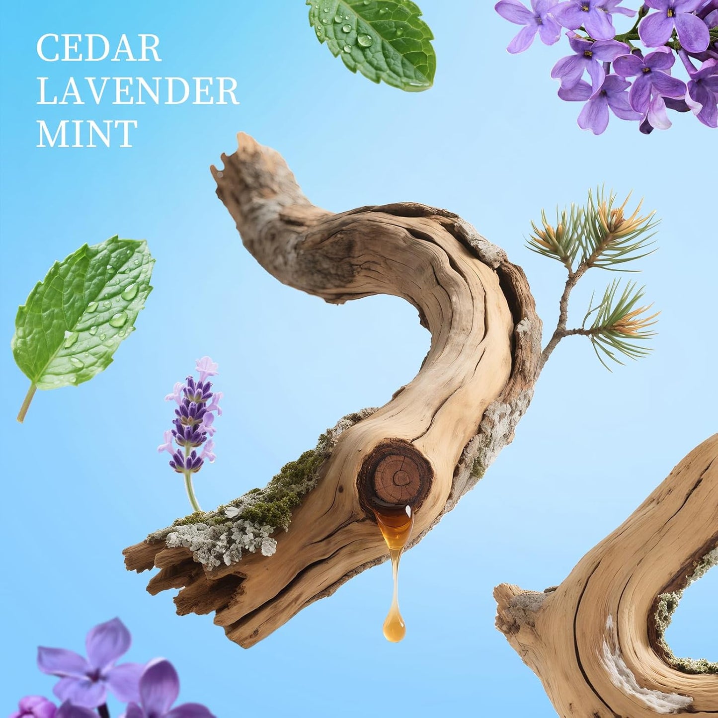 Power Mist Hand Sanitizer Spray, Scented Hydrating Hand Sanitizers Travel Size Refillable, Pocket Portable 3-Pack (Silver Cedar) 0.93Fl Oz 460-Sprays Each