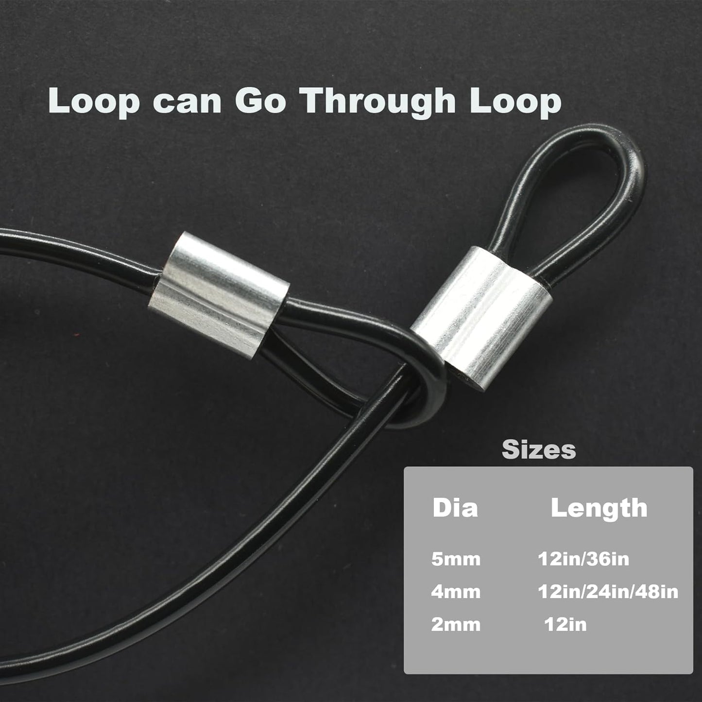 10 Pcs 4mm Wire 12 inch Vinyl Coated Stainless Steel Cable with Loops Short Wire Rope Lanyard Lock Security Chain Link for Outdoor Gates, Black(4mm x 12inch)