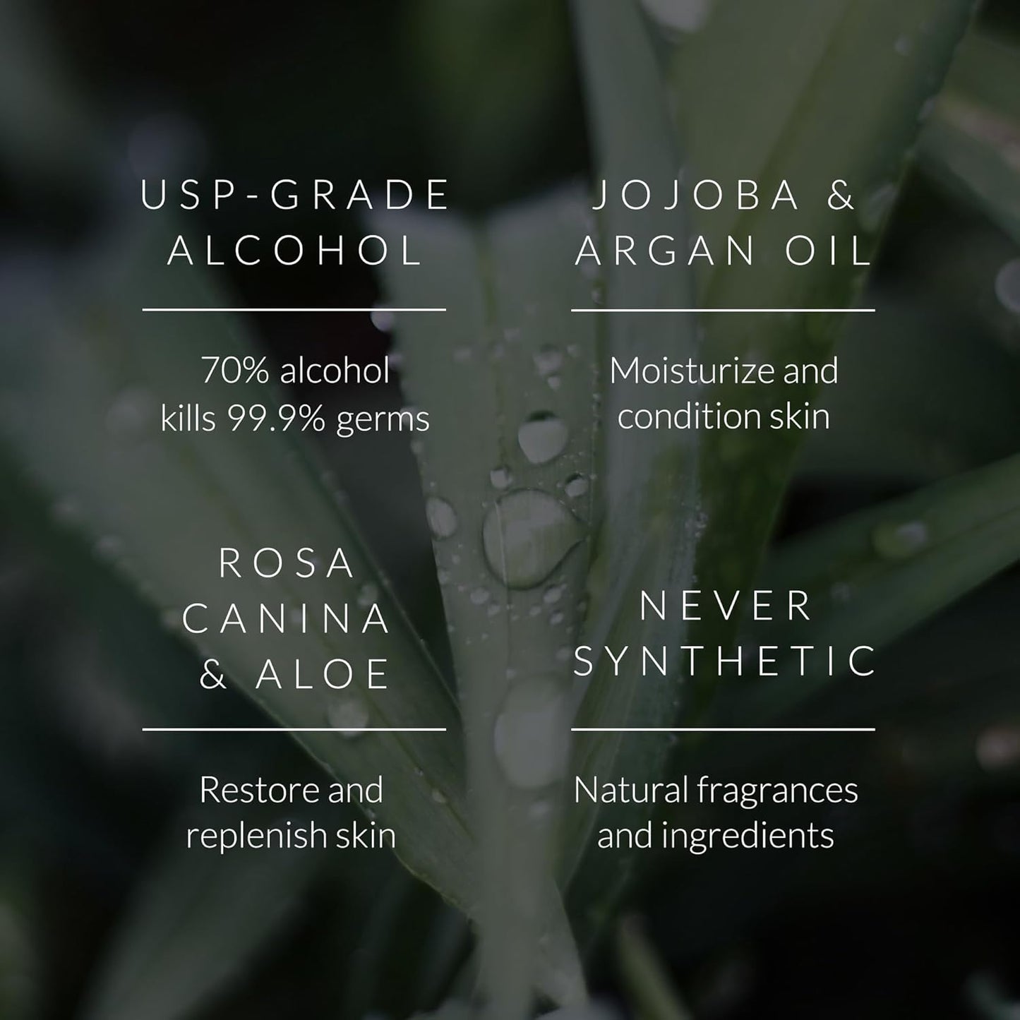 Noshinku - Refillable Hand Sanitizer Orange Coriander 3-Pack, Travel Size Spray, Hydrating Botanical Oils, Natural Ingredients, All Natural Fragrances, Sugarcane Derived Alcohol, No Parabens, No Dyes