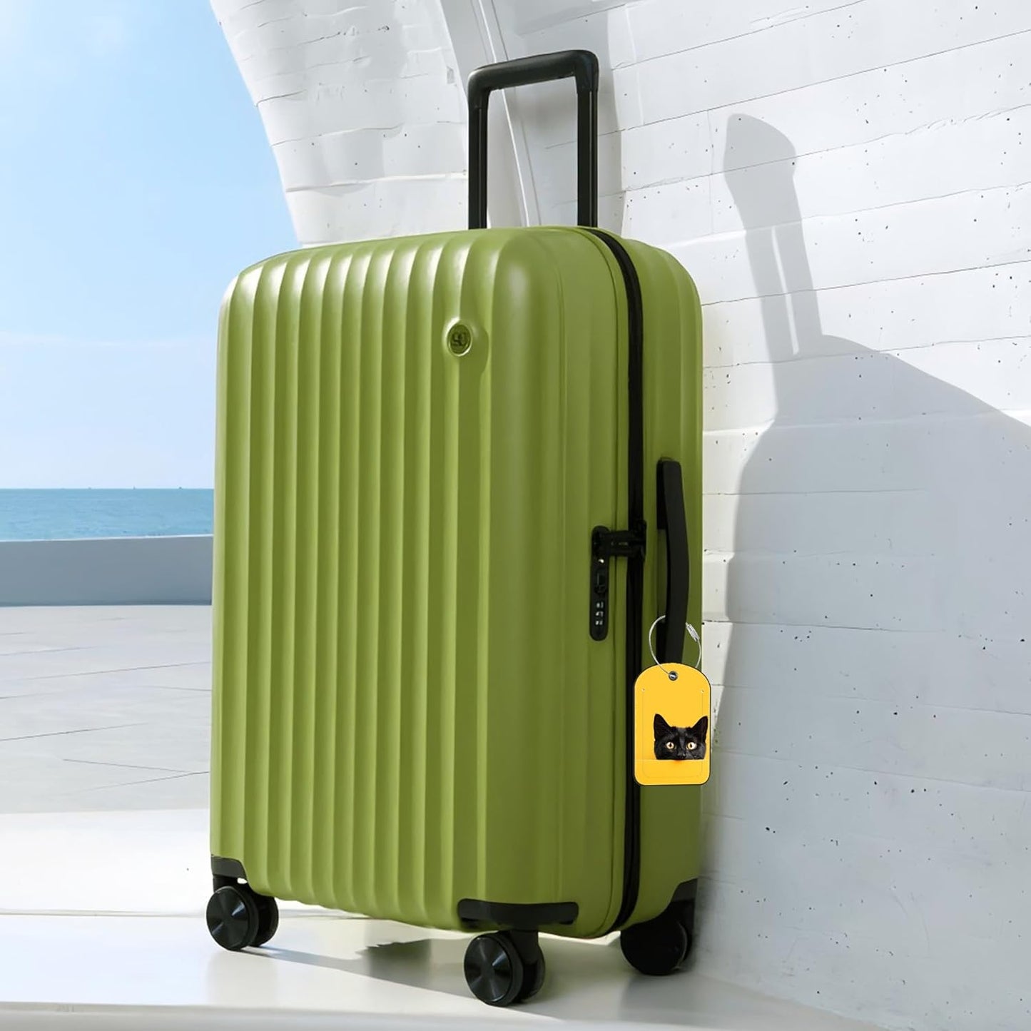 2 Pack Cute Luggage Tag for Suitcases Cute Black Cat Leather Luggage Tags with Stainless Steel Loop Privacy Flap Name Tags,Men and Women Travel Bag Suitcase Tags