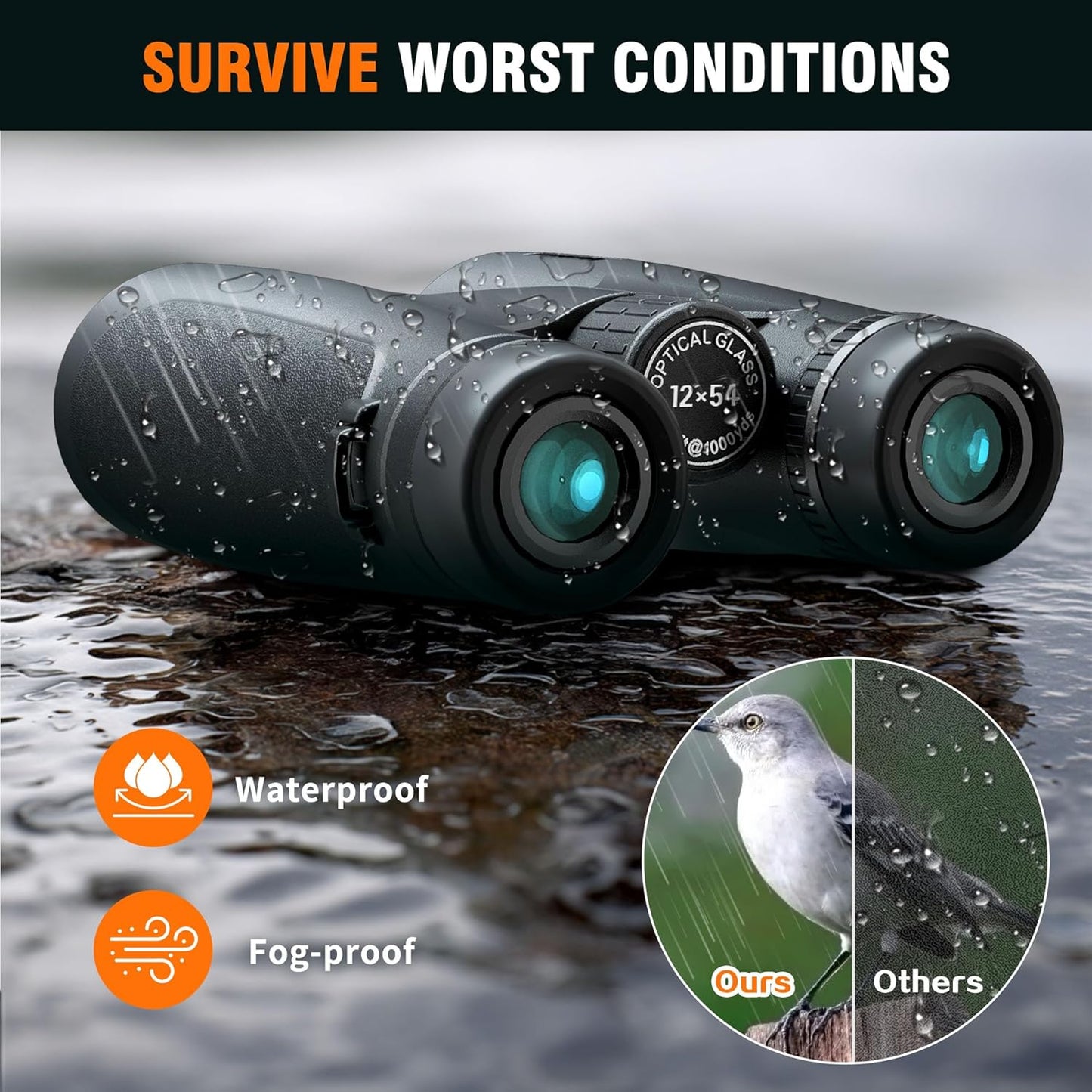 12x54 HD Binoculars for Adults High Powered - Large View BAK4 Prism Binoculars with Clear Low Light Vision - Lightweight Waterproof Binocular for Bird Watching Cruise Travel Hiking Concert Stargazing