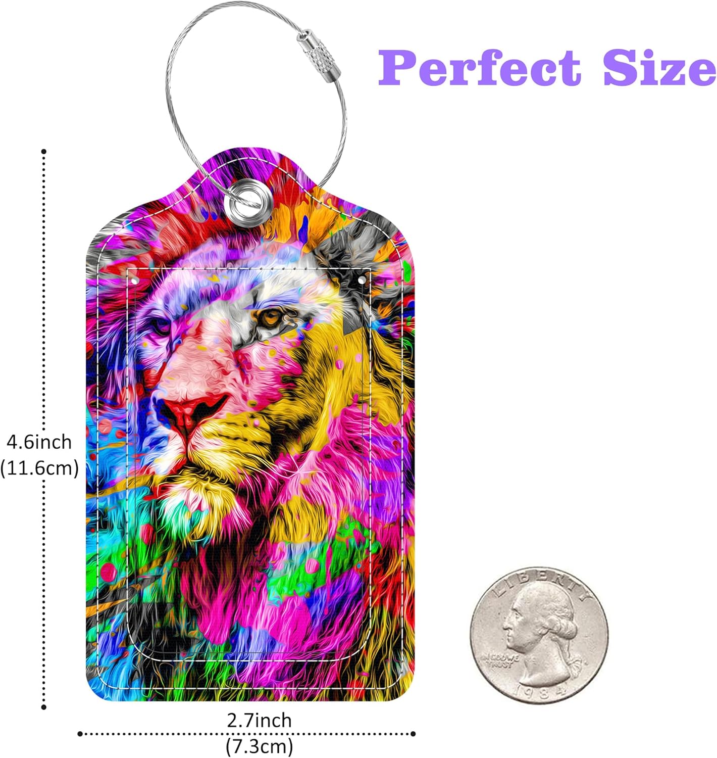 2 Pack Luggage Tags for Suitcase Colorful Abstract Lion Leather Stainless Steel Loop Label Tags for Women Men Travel Bag Suitcase with Privacy Cover Name ID Card