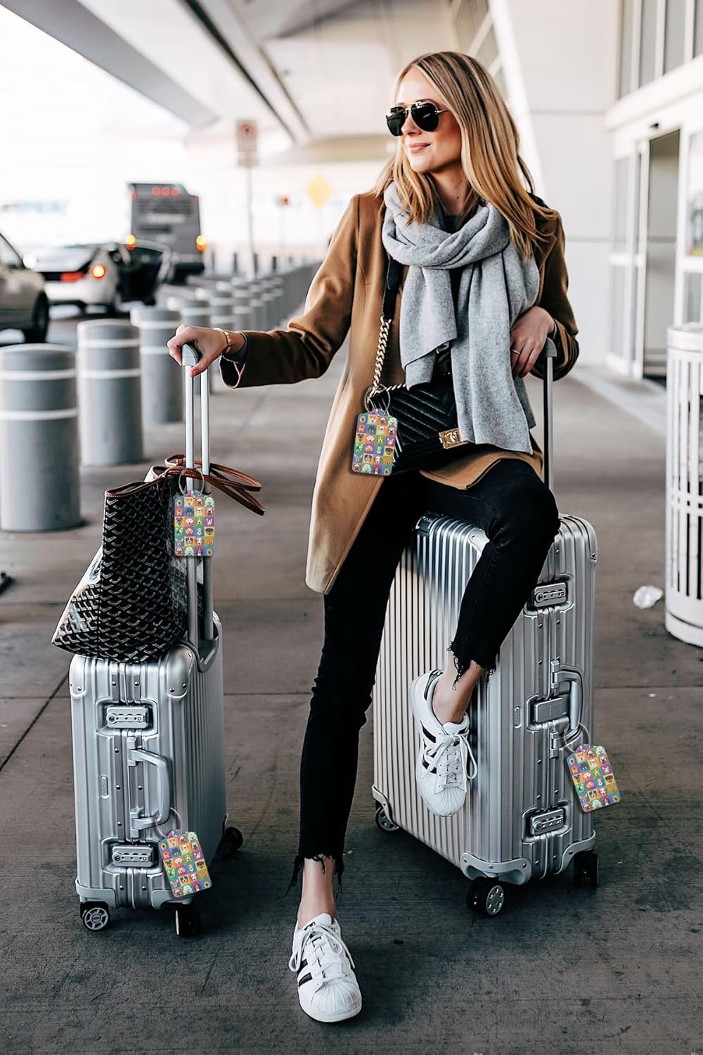 2 Pack Luggage Tags for suitcases Funny Cute Color Dog Luggage Tag, Leather Stainless Steel Loop Label Tag for Men Women Travel Bag Suitcase(Dog)